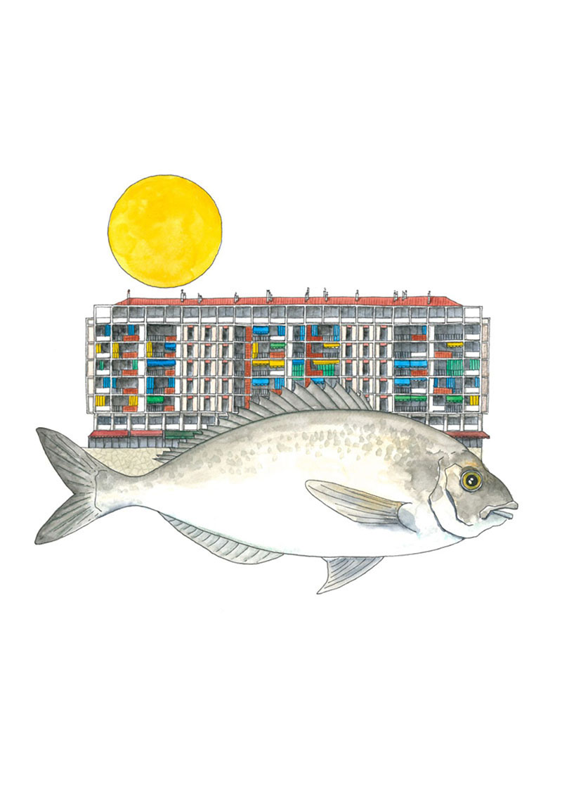 Elegant Minimalist A4 Stationery Paper Document – 2