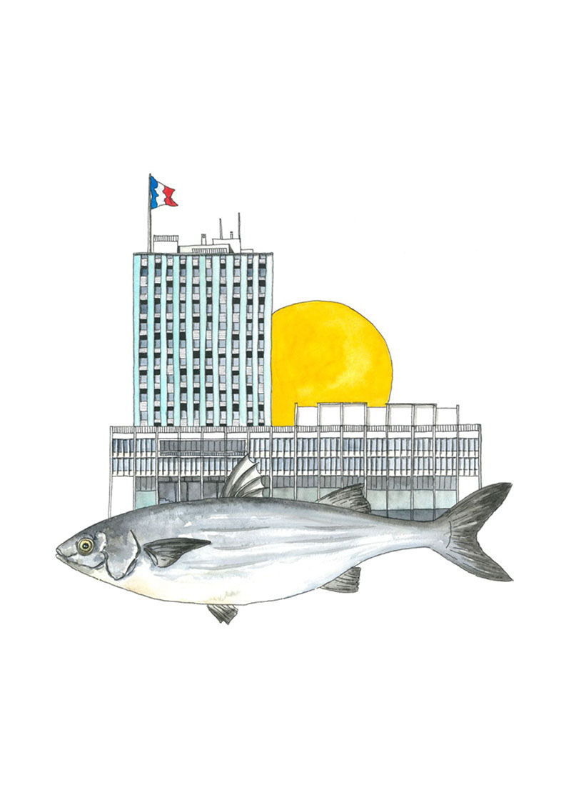 Elegant Minimalist A4 Stationery Paper Document – 6